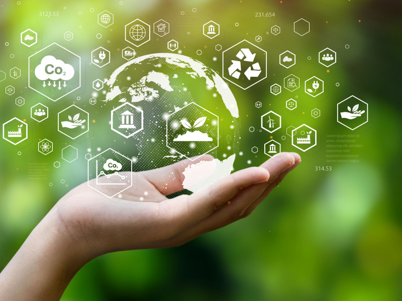 hand-and-sustainable-globe